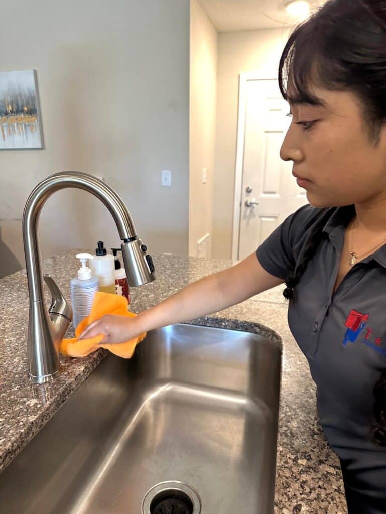 tessa cleaning worker cleaning sink in house